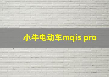 小牛电动车mqis pro